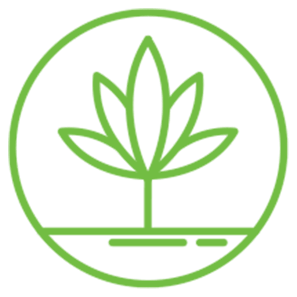 Icon plant green